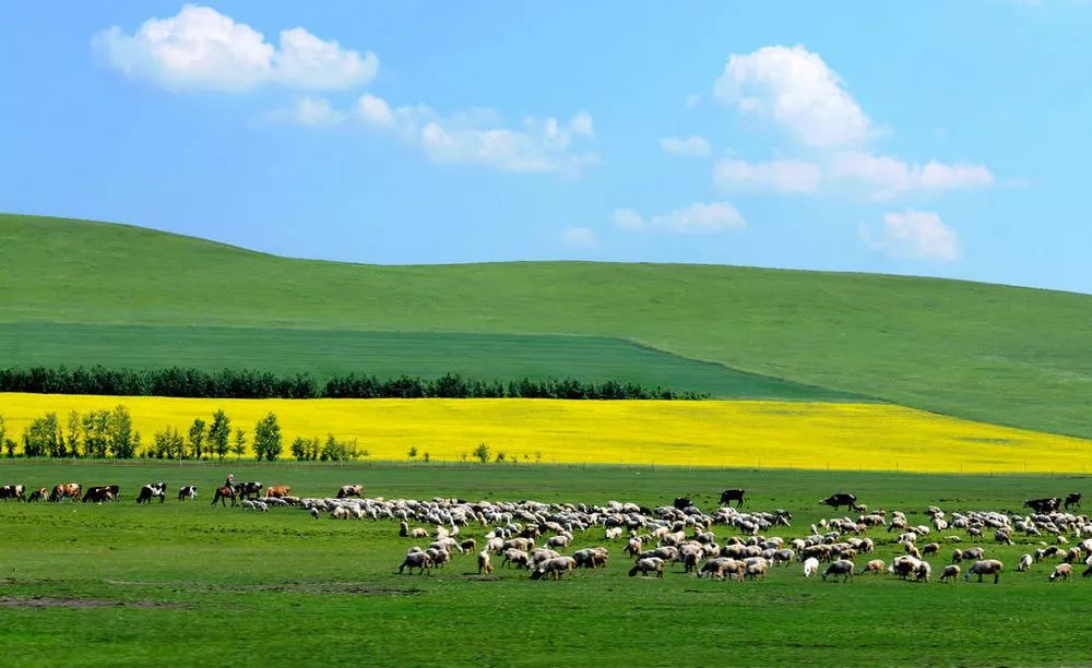 内蒙古草原之美与文化魅力的独特展现