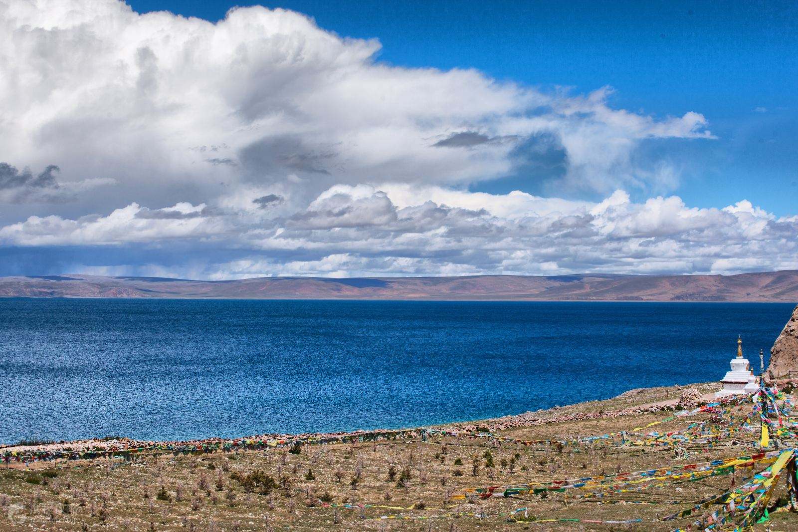 西藏之旅，探寻神秘高原的魅力